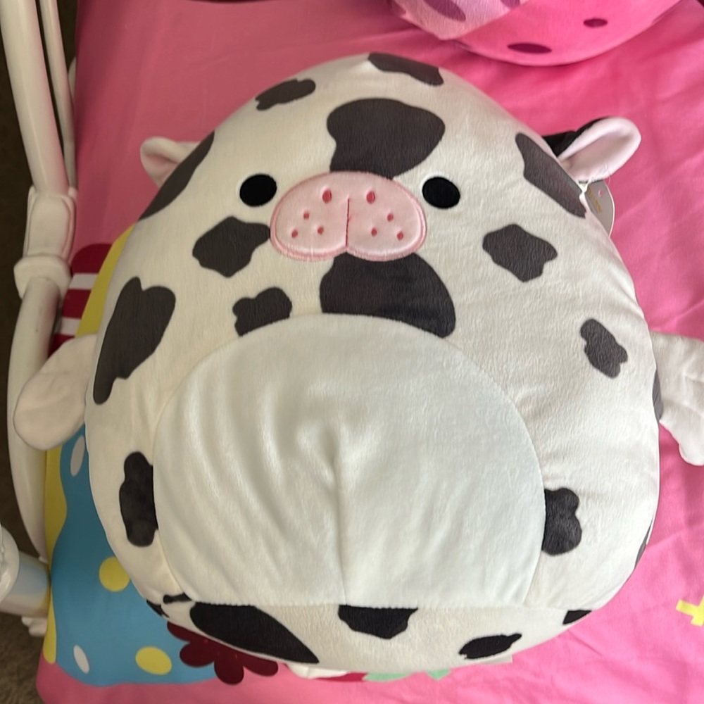 Original Squishmallow Kona NWT
